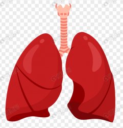 lungs png Meme Template