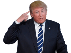 trump Meme Template