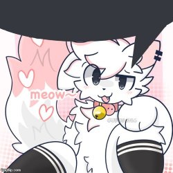 furry speachbubble Meme Template