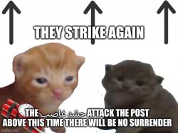 No surrender Meme Template