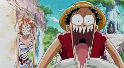 One Piece funny faces Meme Template