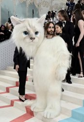Jared Leto At The MET Gala Meme Template