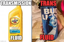 Trans Fluid Meme Template