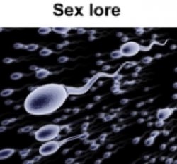 Sex lore Meme Template