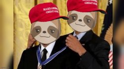 MAGA sloth gives self an award Meme Template