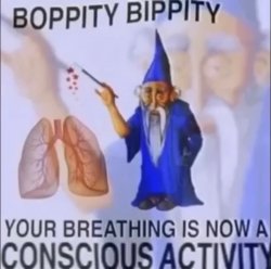 Your breathing is now a conscious activity Meme Template