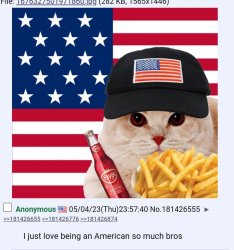 America cat Meme Template