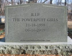 R.I.P. The Powerpuff Girls (1998-2019) Meme Template