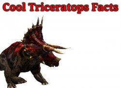Cool Triceratops Facts Meme Template