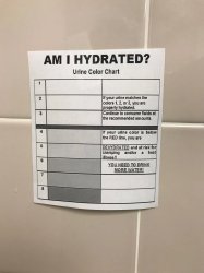 Urine color chart in black and white Meme Template