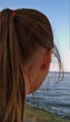 Gabriela Hulea Meme Template