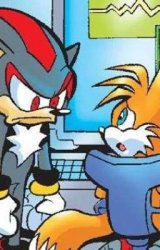 shadow mad at tails Meme Template