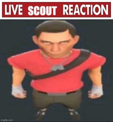 live scout reaction Meme Template