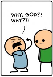 WHY GOD WHY Meme Template