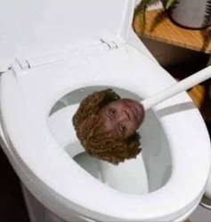 Karinne Toilet Brush Meme Template