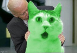 RayCat Biden Meme Template