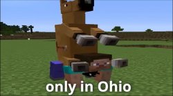 Ohio Meme Template