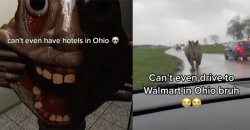 ohio Meme Template