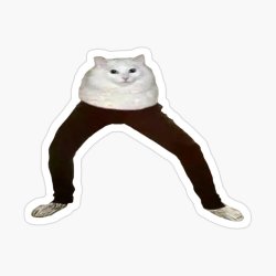 cat with legs Meme Template