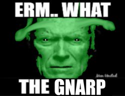 erm... what the gnarp Meme Template