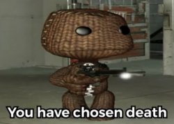 You have chosen death Sackboy Meme Template