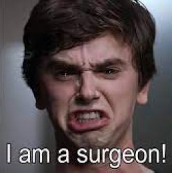 The Good Doctor I am a Surgeon Meme Template