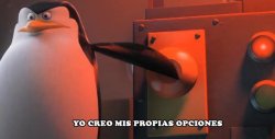 yo hago mis propias opciones Meme Template