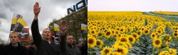 Russian nazi sunflower Meme Template