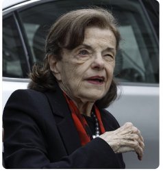 Senator Diane Feinstein Meme Template