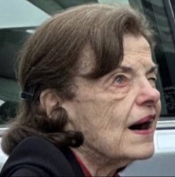 Dianne feinstein Meme Template