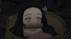 Nezuko In A Basket Meme Template