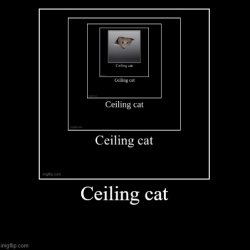 Ceiling cat Meme Template