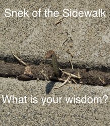Snek of the Sidewalk Meme Template