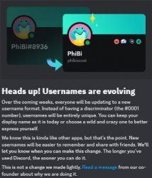 Discord Usernames are Changing Meme Template