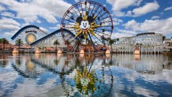 Disneyland California Adventure Meme Template