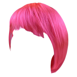 Pink Wig Meme Template