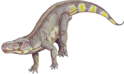 Fasolasuchus Meme Template