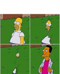 Homer hedge bush CARL edition Meme Template