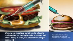 Hamburger as a Drug Meme Template
