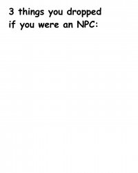 3 things you dropped if you were an npc Meme Template