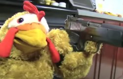 chicken with a gun Meme Template