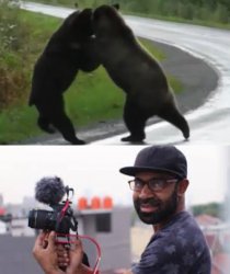 Guy films 2 bears fighting Meme Template