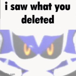 metal sonic i saw what you deleted Meme Template