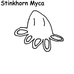 Stinkhorn Myca Meme Template