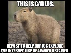 Carlos Meme Template