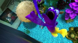 Nemo Aquascum Meme Template