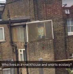Who lives in a crackhouse and snorts ecstasy? Meme Template