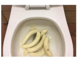 Banana toilet Meme Template