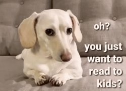 Homophobic dog Meme Template