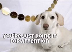 Homophobic dog Meme Template